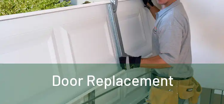  Door Replacement 