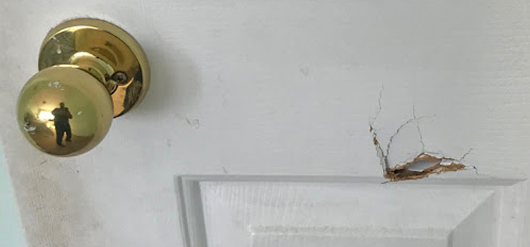 interior door hole repair St. Petersburg