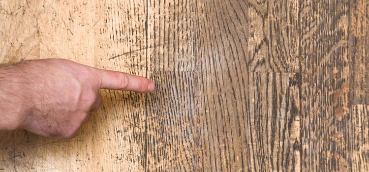 Wood Door Scratch Repair in St. Petersburg